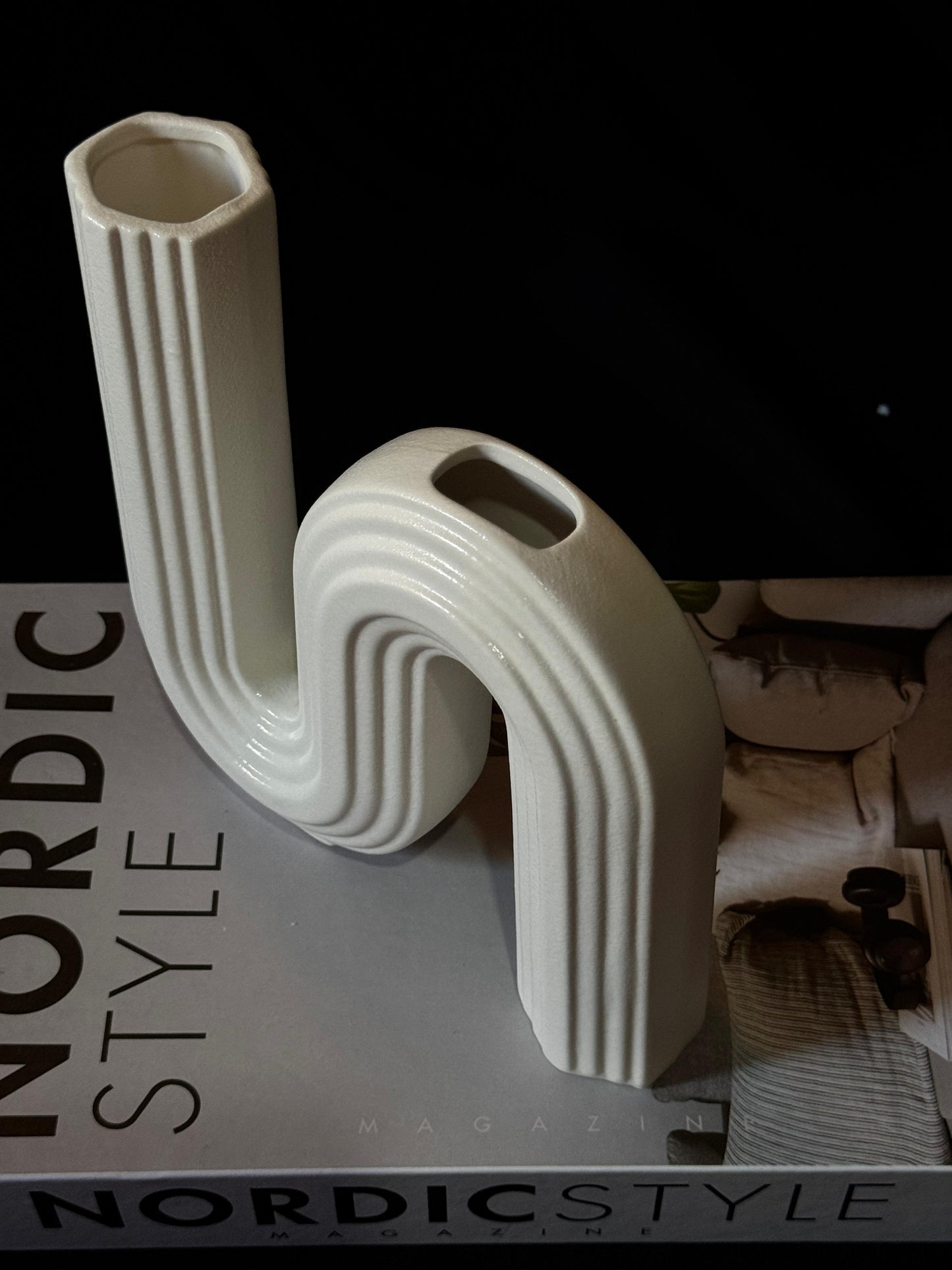 Modern S-Shape Ceramic Vase – Elegant Decorative Centerpiece for Home & Office