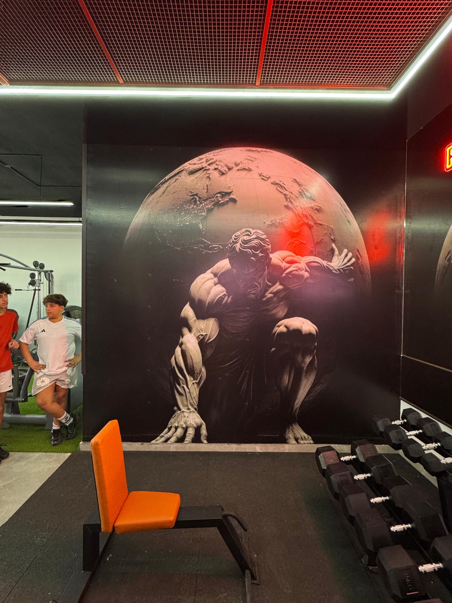 Ovia Wall Art for a Gym